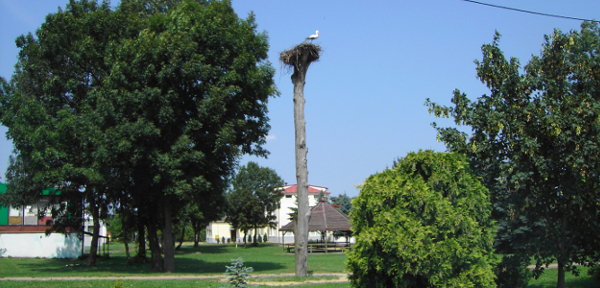foto2